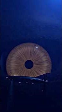 This monster is 8000 km long (SCP 169)!!!