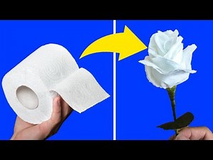 04 Awesome DIY Hacks with Toilet Paper - TLT