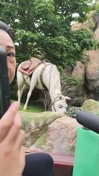 Repunzal ride disney sea
