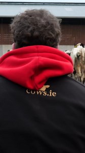 118 reactions | At Cows.ie, we’re passionate about farming! With unmatched expertise, we ensure top-quality livestock supply in Ireland and beyond. Join us in cultivating excellence! #dairyfarming #teamdairy #GrassToMilk #Holstein #FriesianBreeders #Agriculture #FreshMilk #farming" | cows.ie - David Clarke Livestock | Facebook
