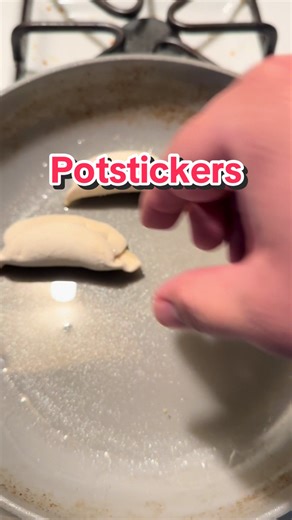 Potstickers 🥟 #foodporn #feastmode #foodie #chefmode #foodie #potstickers