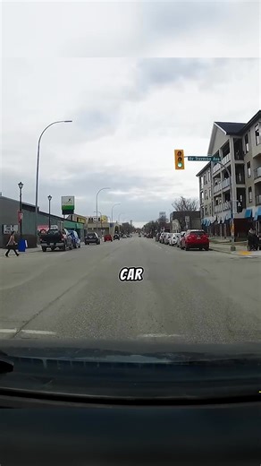 Crazy Lady Freaks Out at Driver for No Reason Vortimaxx | Viral Vibs