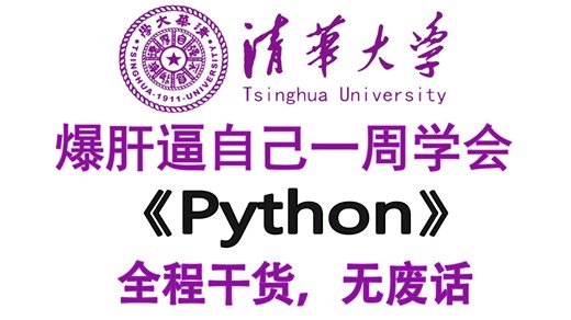 【整整600集】2026最细最全Python全套教程！全程干货无废话！逼自己一周学完，从Python零基础到编程大佬只要这套就够了！全程干货无废话!包含爬虫教程