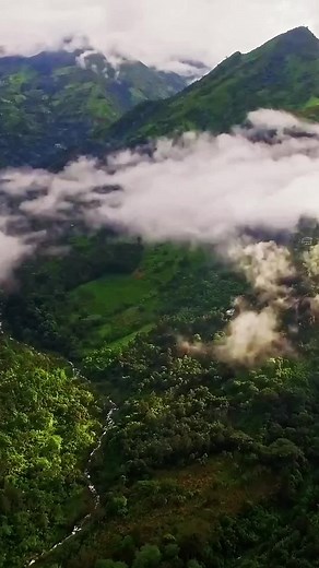 ¡Qué orgullo ser peruanos! 😍😍 Deleitamos al mundo con nuestras delicias culinarias, nuestra cultura y música que alegra el corazón. ¡Créelo y vívelo porque estás en el #PaísDeDonesInfinitos! 🇵🇪✨ Conoce más en el link de nuestra bio. #MarcaPerú #OrgulloPeruano