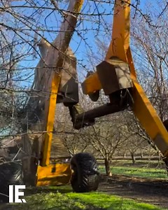 When it comes to tree pruning, it's tedious when done by hand. Enter, this machine. 📽️: Instagram/ rooted_asset_management_1 #TreePruningMachine #AgriculturalInnovation #EfficientFarming #GrowersTech #ModernAgriculture | Interesting Engineering