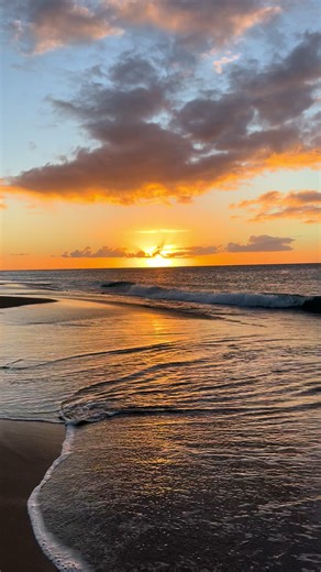 Explore the Beauty of Guadeloupe: Travel Insights