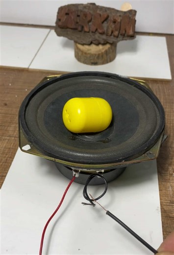 Exciting DIY Speaker Experiment You Can Try
