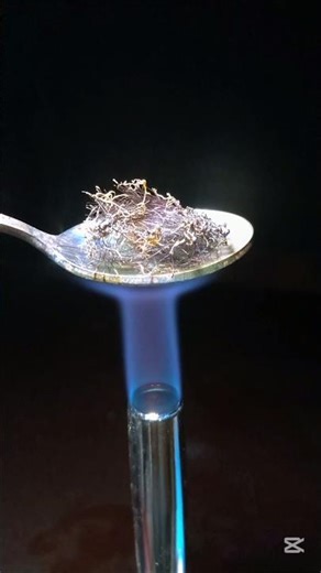 What happens to hair follicles in a severe fire?