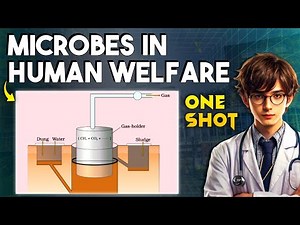 Complete MICROBES IN HUMAN WELFARE Quick Revision | Class 12 Biology For NEET 2025