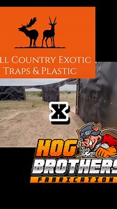 OFFCICAL PARTNERS WITH HILL COUNTRY EXOTIC TRAPS! If you need a Exotic Trap we have you with the Best Traps Around! We have the Best Exotic and Hog Traps in TX! #exotictraps #Hogtraps#hogbrothers #hogtrap #pig #cellularhogtraps #tiktokwildlife | Hog Brothers