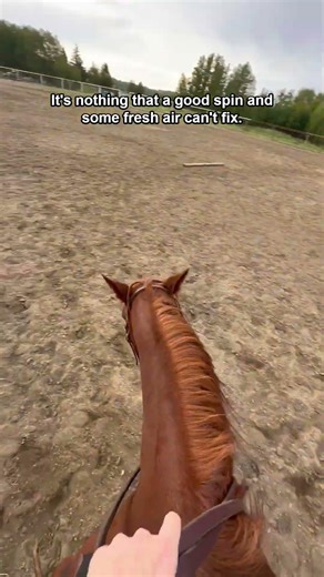 A Good Spin #reining
