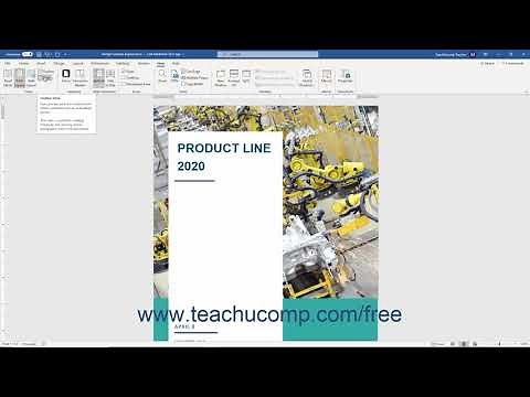 Word 2019 and 365 Tutorial The Document View Buttons Microsoft Training