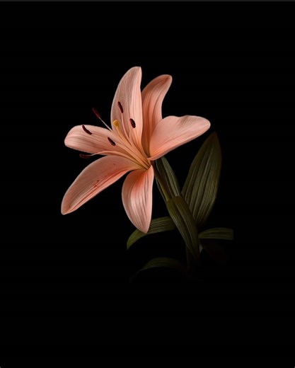 Idk Song Lyrics and Analysis