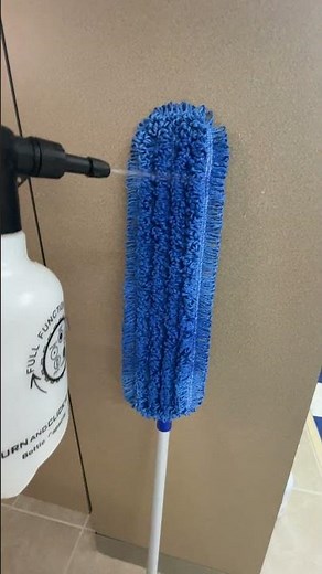 Don't Dust Mop - Damp Mop * Cleaning with the Academy