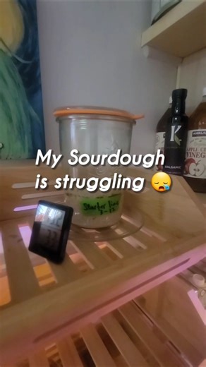 I think I need to start over...🥲