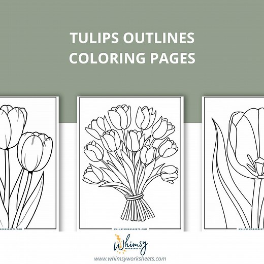 80 Tulip Coloring Pages | Floral Outline Art for Adults & Kids (PDF) - Etsy