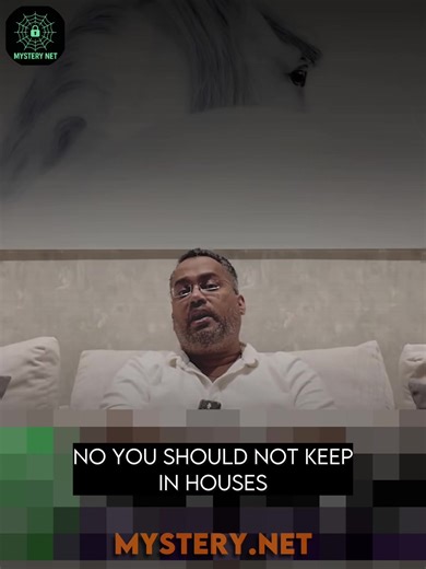 Paranormal activity with cats😨😱. #paranormal #podcasts #foryou #horror