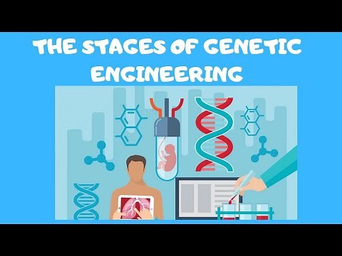 Genetic Engineering Made Extremely Easy: National 5/GCSE