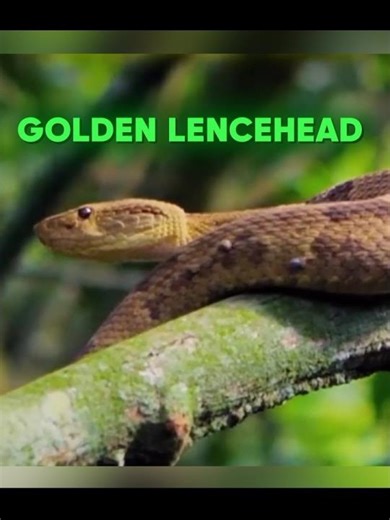 World's Most Forbidden Locations 🐍🛸😱