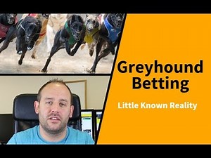 Greyhound Betting: Little Known Reality...