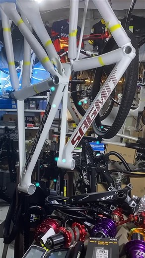 NEW FRAME SAGMIT CRAZY BOOST - 2025 MODEL