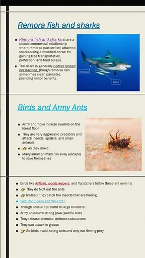 commensalism with its example #biology