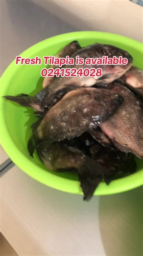 #dailytrend #maajcoldstore #frozenfood #trend