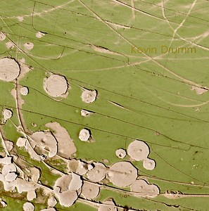 Kevin Drumm - Kevin Drumm