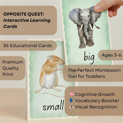Opposites Learning Cards for Kids | Montessori Preschool Printable | Toddler Educational Flashcards | Digital Download - Etsy Canada