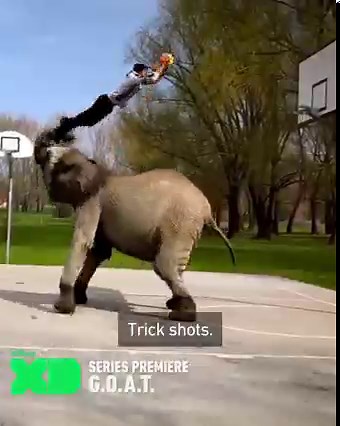 6K views · 138 reactions | In a world where content is king, we're looking for the greatest videos of all time  Don't miss the premiere of #GOAT tonight on Disney XD! #WatchOnDisneyXD | Disney XD | Facebook