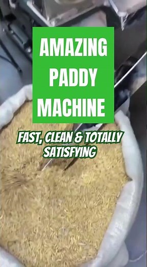 This Paddy Separator Machine Will Blow Your Mind! High-Tech Rice Sorting!