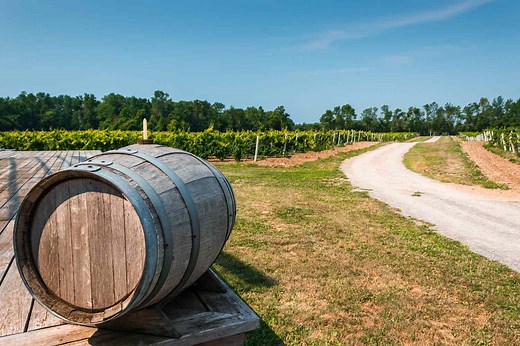 This Little-known Canadian Destination Has Long Been a Favorite Among Locals—With 40  Wineries, Beautiful Hiking Trails, and White-sand Beaches