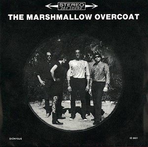 The Marshmallow Overcoat - Groovy Little Trip / Stop It Baby