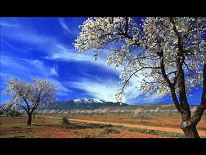 Doeba doebidoewa, canon