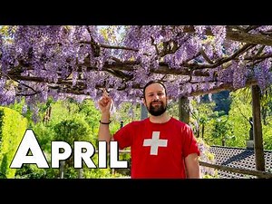 Switzerland during APRIL - Spring or Winter?