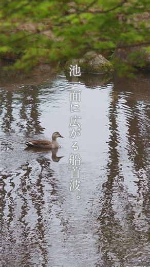 『#船首波』
