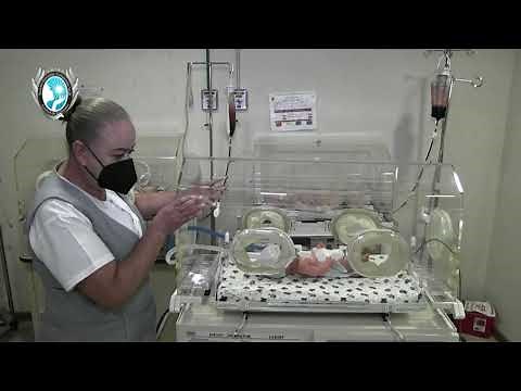 8 - MANEJO DE INCUBADORA