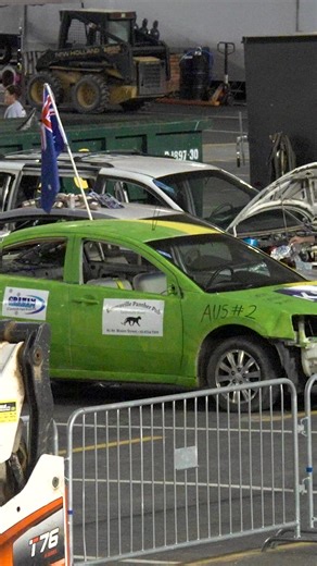 Jayce stole someone's pet CLICKBAIT #ItsBristolBaby #fblifestyle #dogs | DerbyNation.TV