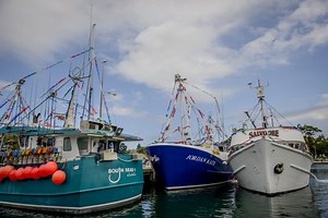 Ulladulla - Shoalhaven - South Coast NSW