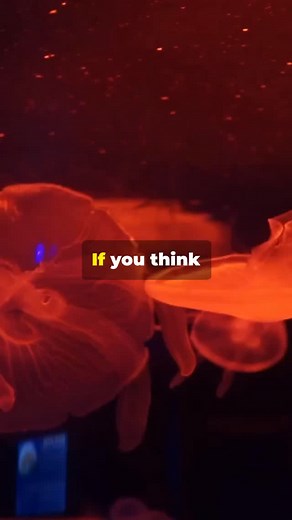 Swima Worms! | Fairly Odd Facts