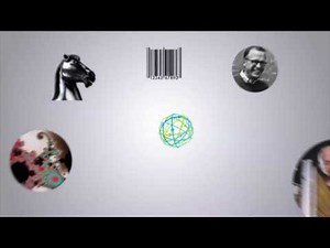 Students Live the Quantum Experience at IBM’s Swiss Lab