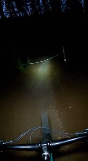 Night Ride Surprise: Gnome at the Trail's End