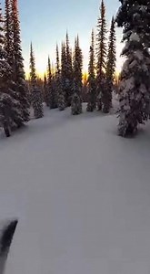 A snowboarder carves hard through deep powder in a forest, triggering a massive wave of snow that completely engulfs the camera. The rider emerges from the white room and continues speeding down the mountain in perfect control. | AgroTech