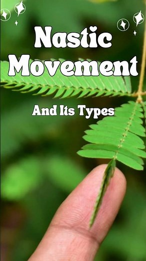 Understanding Nastic Movements | Photonastic & Thigmonastic Explained with Examples