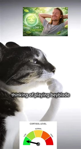 Battling with Beyblade Burst: Tips and Tricks