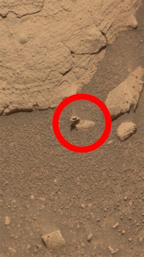 Som ET on Instagram: "Som ET - 65 - Mars - Curiosity Sol 4357 - 1 This image was taken by MAST_RIGHT onboard NASA's Mars rover Curiosity on Sol 4357 (2024-11-07). NASA Images: https://mars.nasa.gov/msl/multimedia/raw-images/?order=sol+desc,instrument_sort+asc,sample_type_sort+asc,+date_taken+desc&per_page=50&page=1&mission=msl&begin_sol=4357&end_sol=4357 Audio: Som ET - 65 - Mars Credit: NASA/JPL-Caltech/MSSS #mars #nasa"