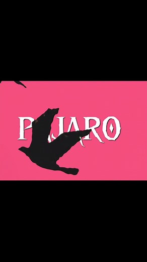 Rincon by Milo J - Discover the Lyrics and Edits