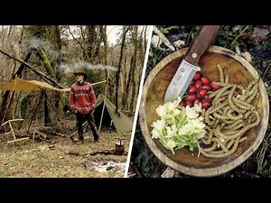 1 semaine seul dans la forêt | Bushcraft Trip - Tipi & poêle