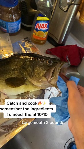 Cooking Tips: Catching and Cooking Largemouth Bass at Home