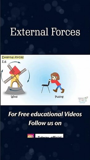 External Forces | Windmill | Internal and External Forces | Science